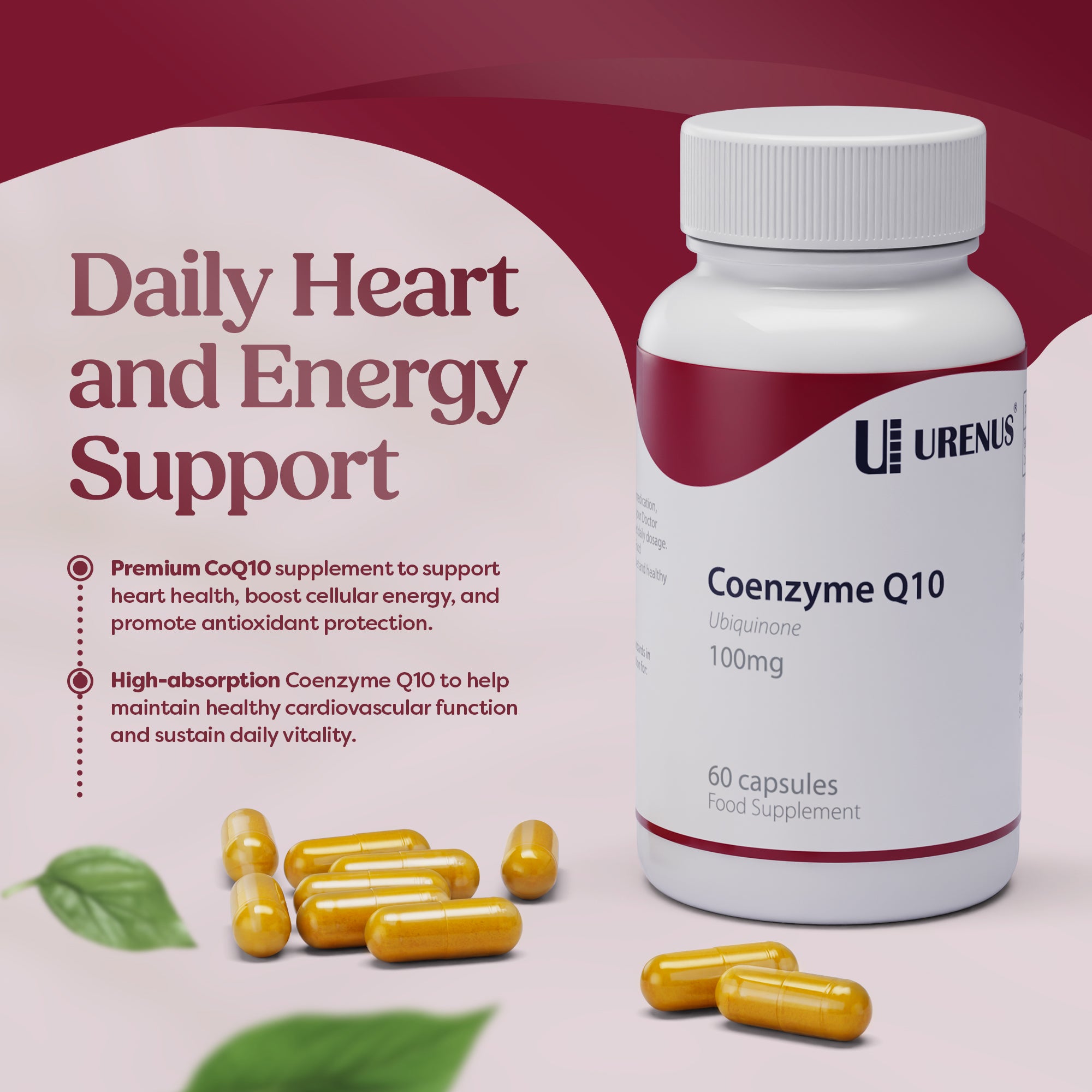 Coenzyme Q10 – 100 mg - 60 Capsules - Image 2