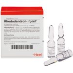 Rhododendron Injeel 10 Ampoules-Urenus