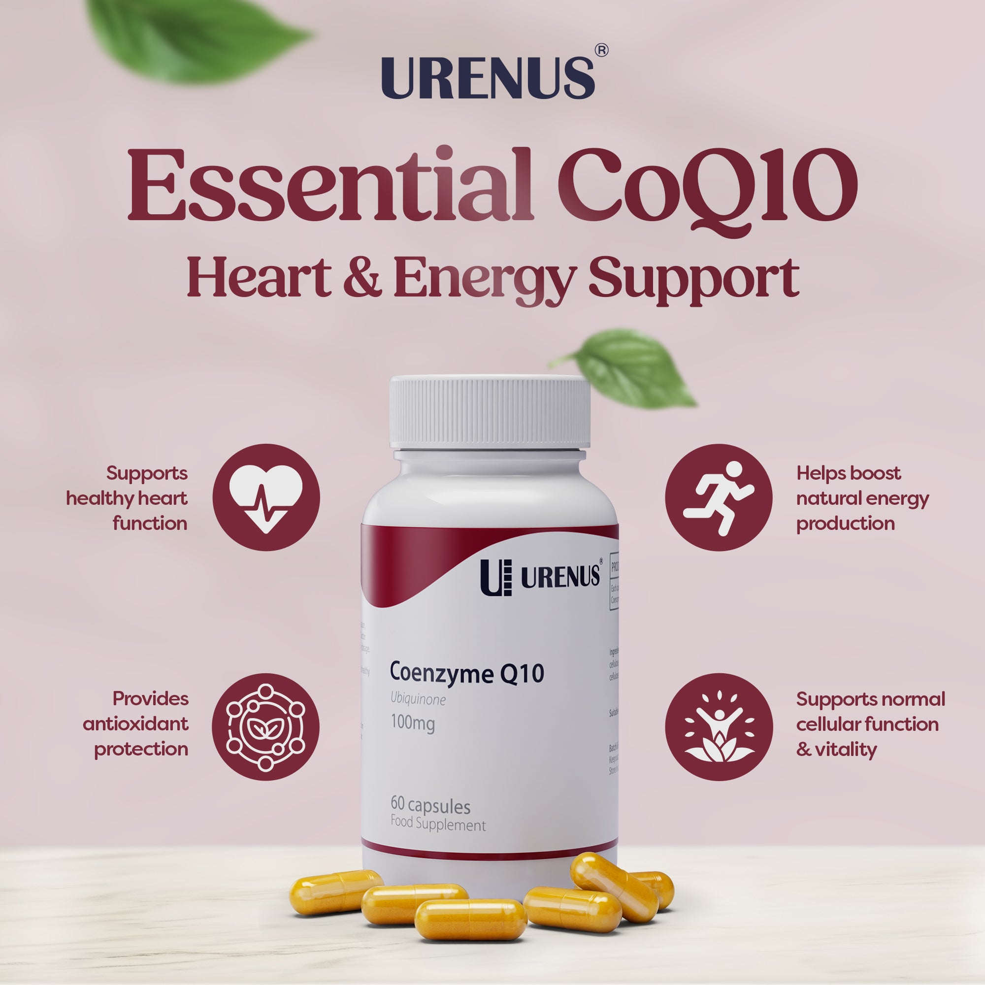 Coenzyme Q10 – 100 mg - 60 Capsules - Image 4