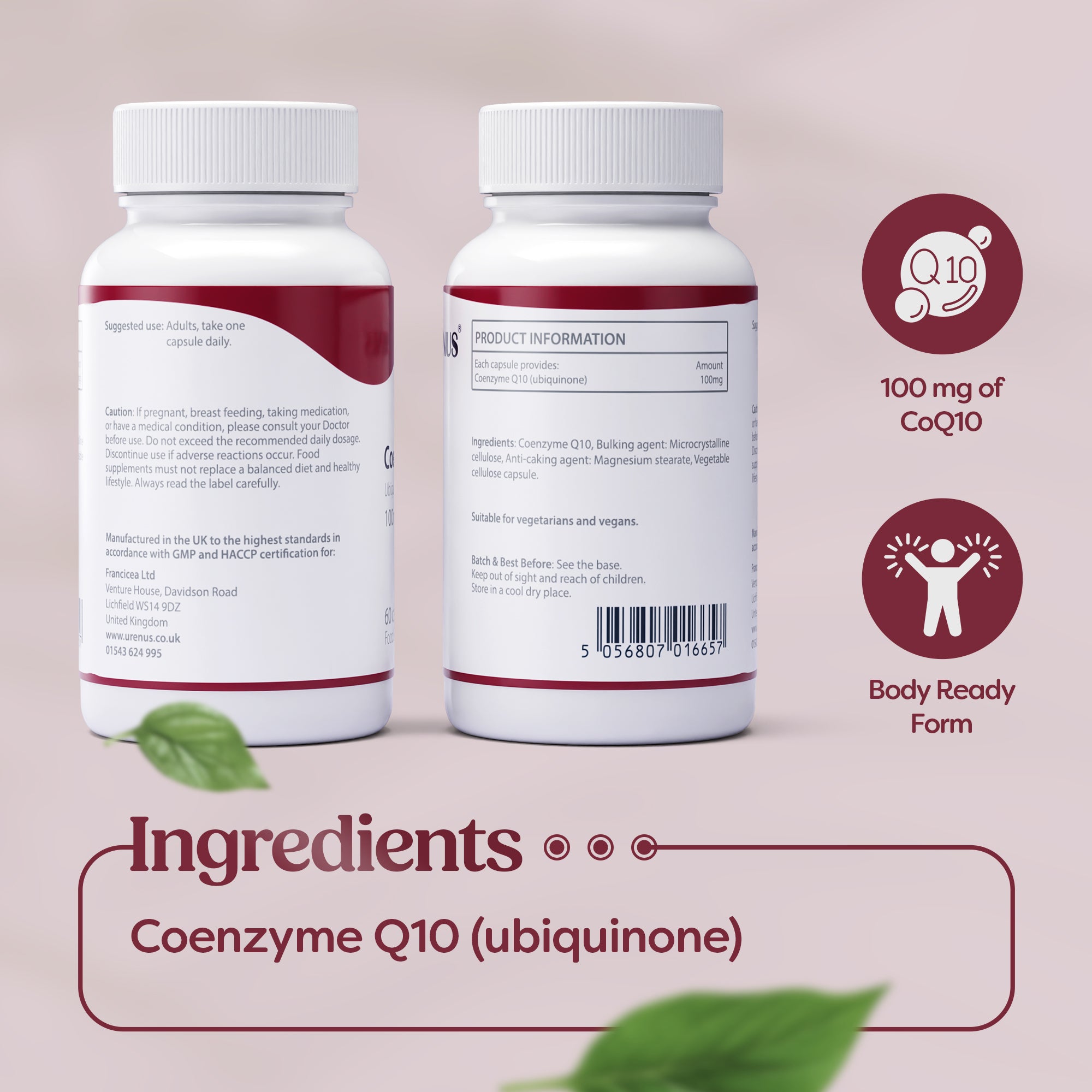 Coenzyme Q10 – 100 mg - 60 Capsules - Image 5