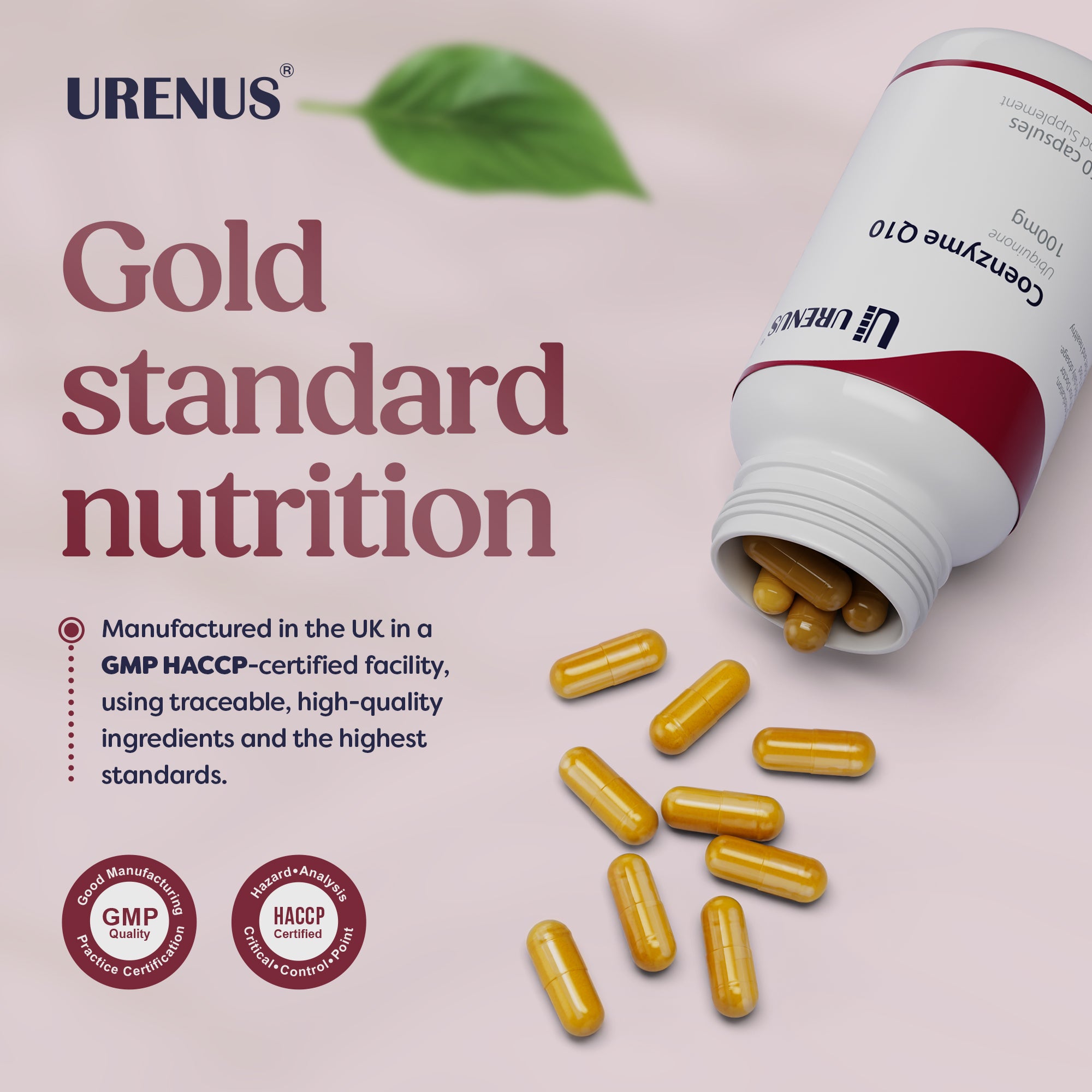 Coenzyme Q10 – 100 mg - 60 Capsules - Image 6