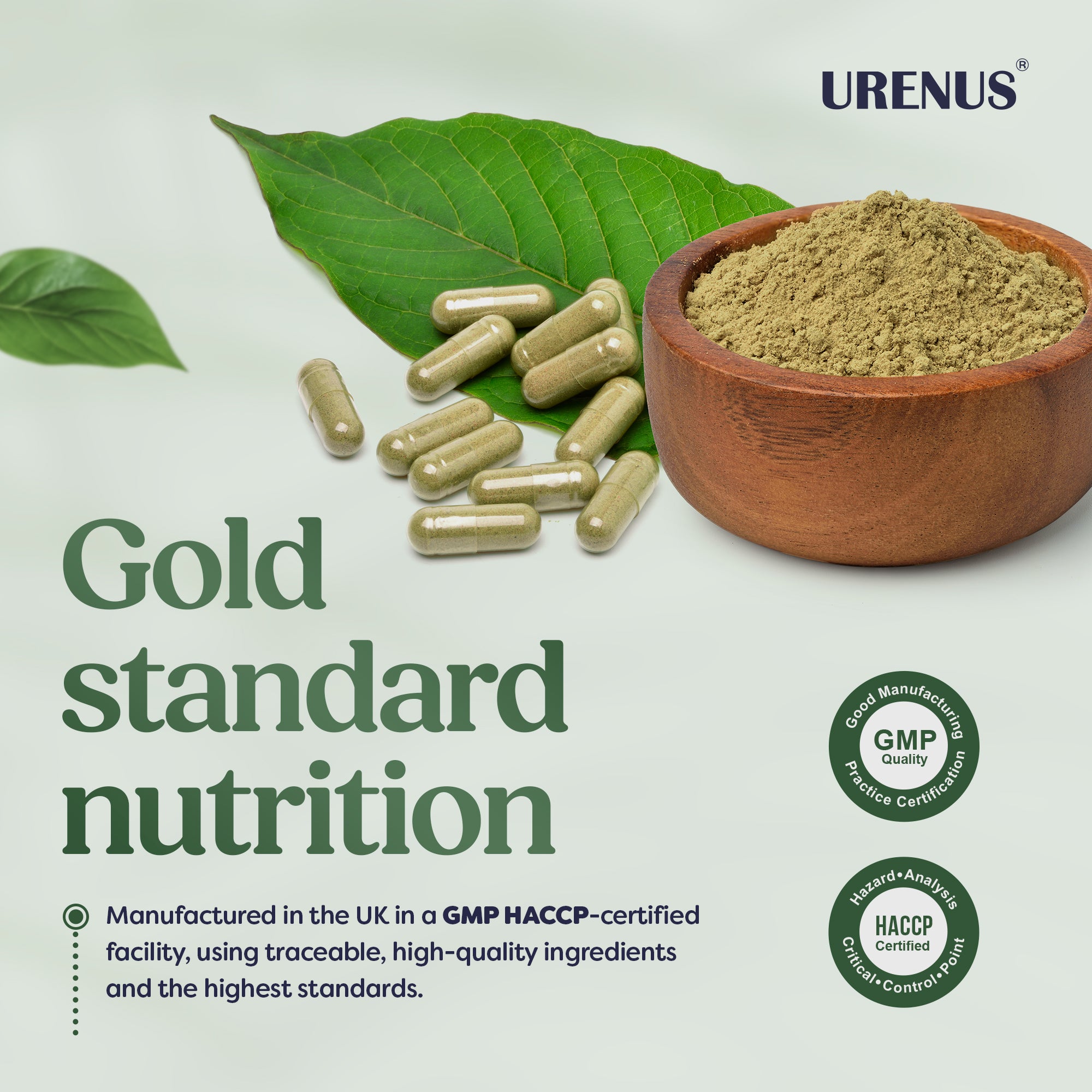 Ashwagandha 1300mg - 60 Capsules - Image 6