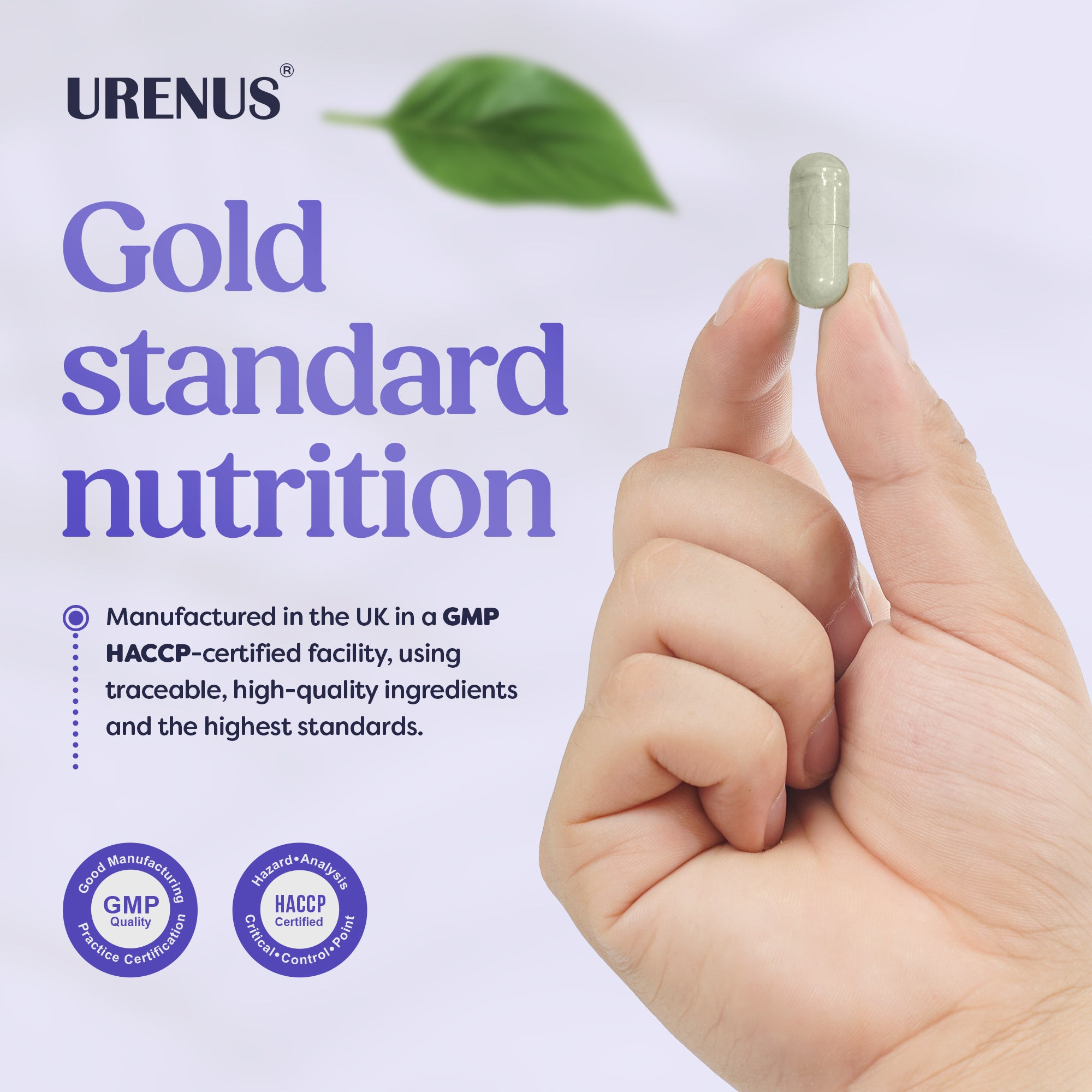 5-MTHF (Methyltetrahydrofolate Calcium) - 60 Capsules - Image 6