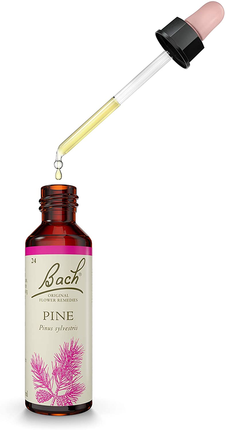 Bach Flower Pine - Image 2