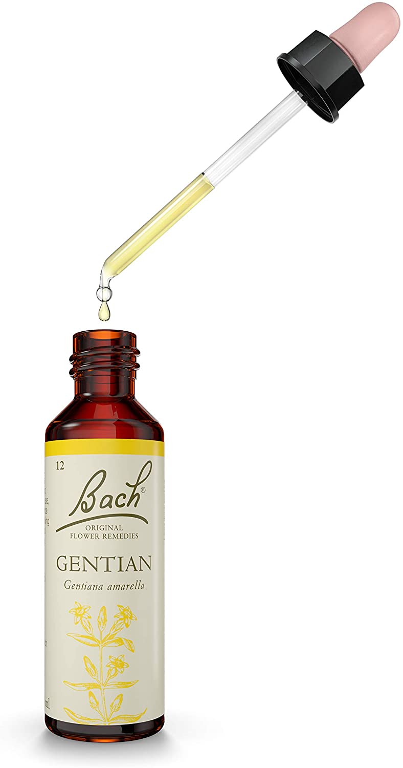 Bach Flower Gentian - Image 2