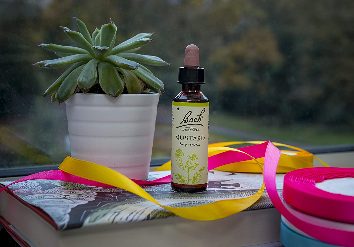 Bach Flower Mustard - Image 3