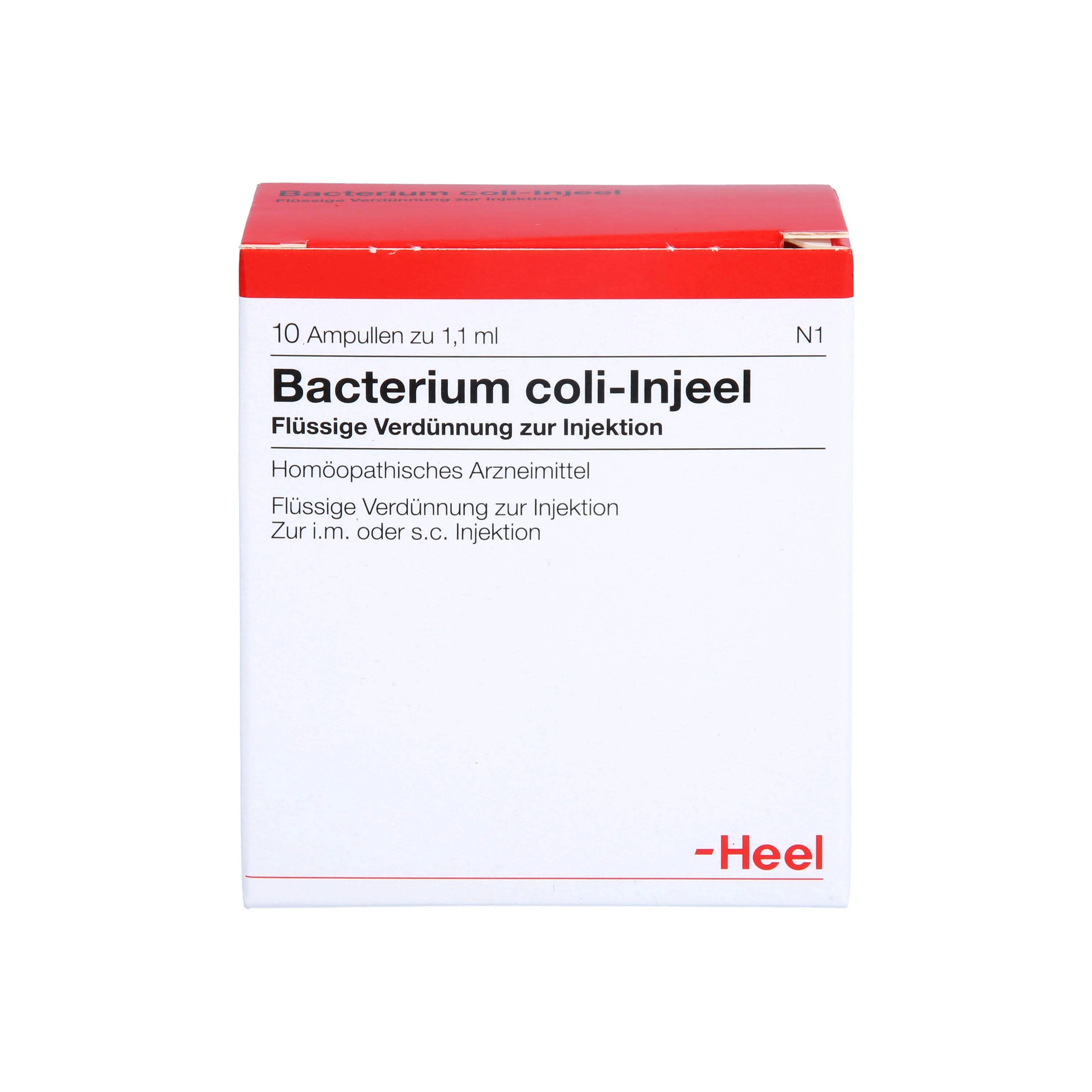 Bacterium Coli 10 Ampoules - Image 4