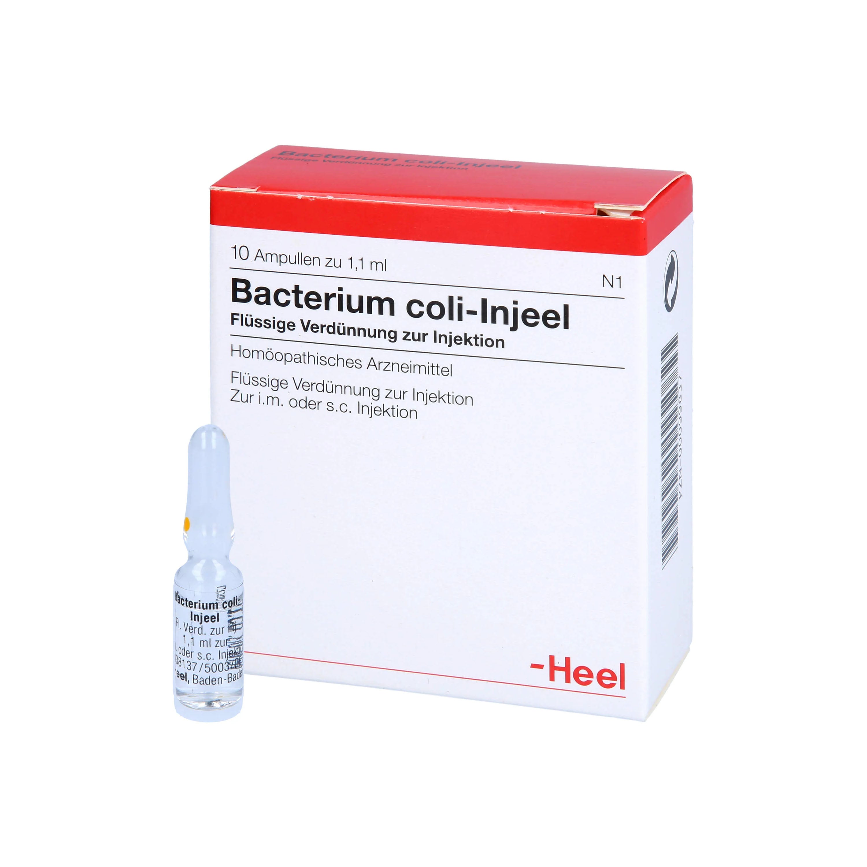 Bacterium Coli 10 Ampoules - Image 2