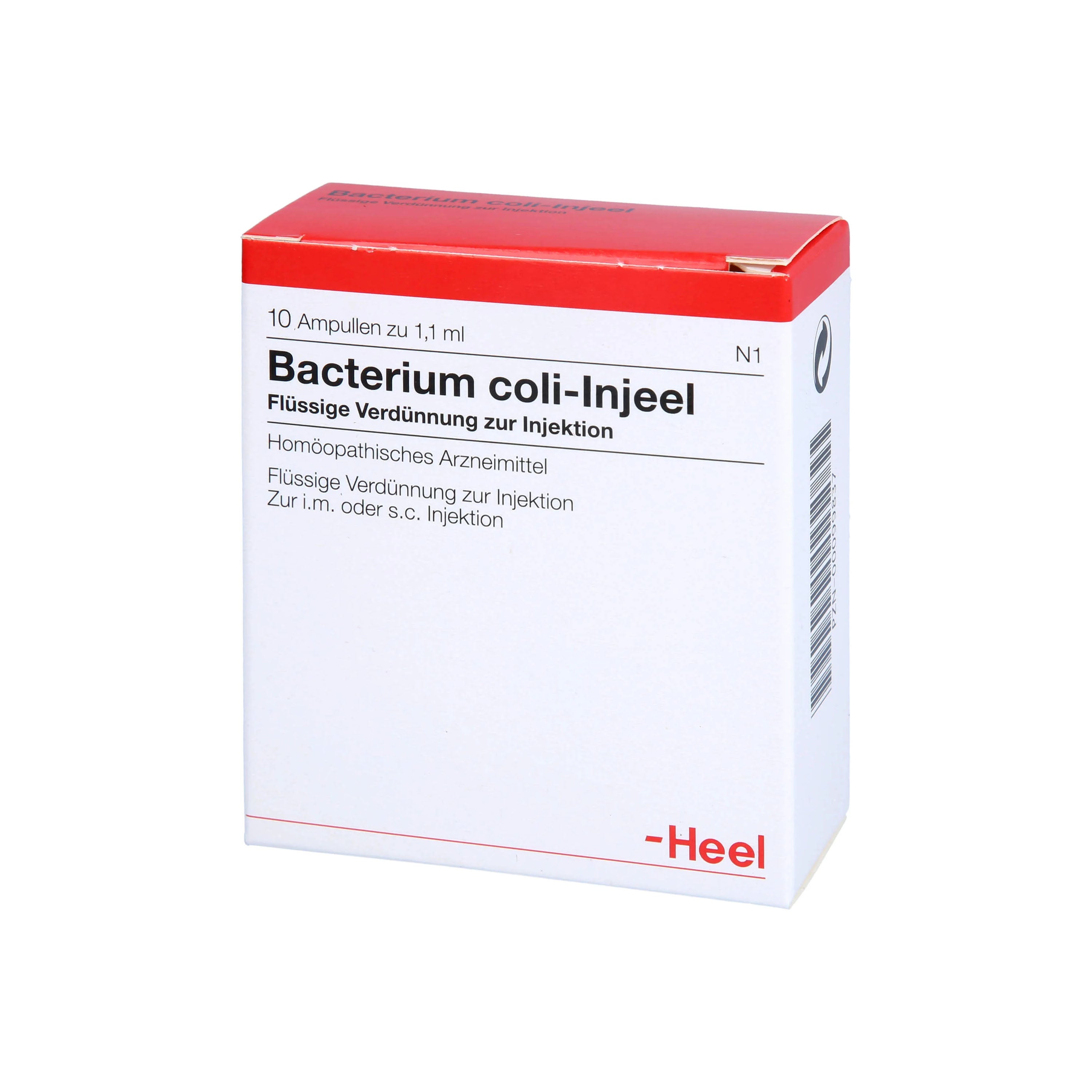 Bacterium Coli 10 Ampoules - Image 5
