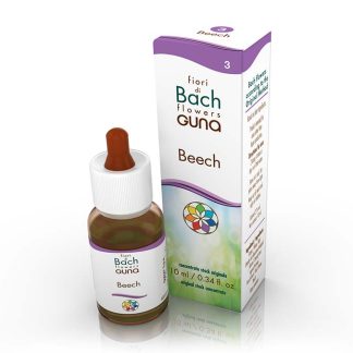 Beech Bach Flower - 10ml Drops