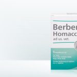 Berberis Homaccord ad us vet 5ml 5 Ampoules (VET)-Urenus