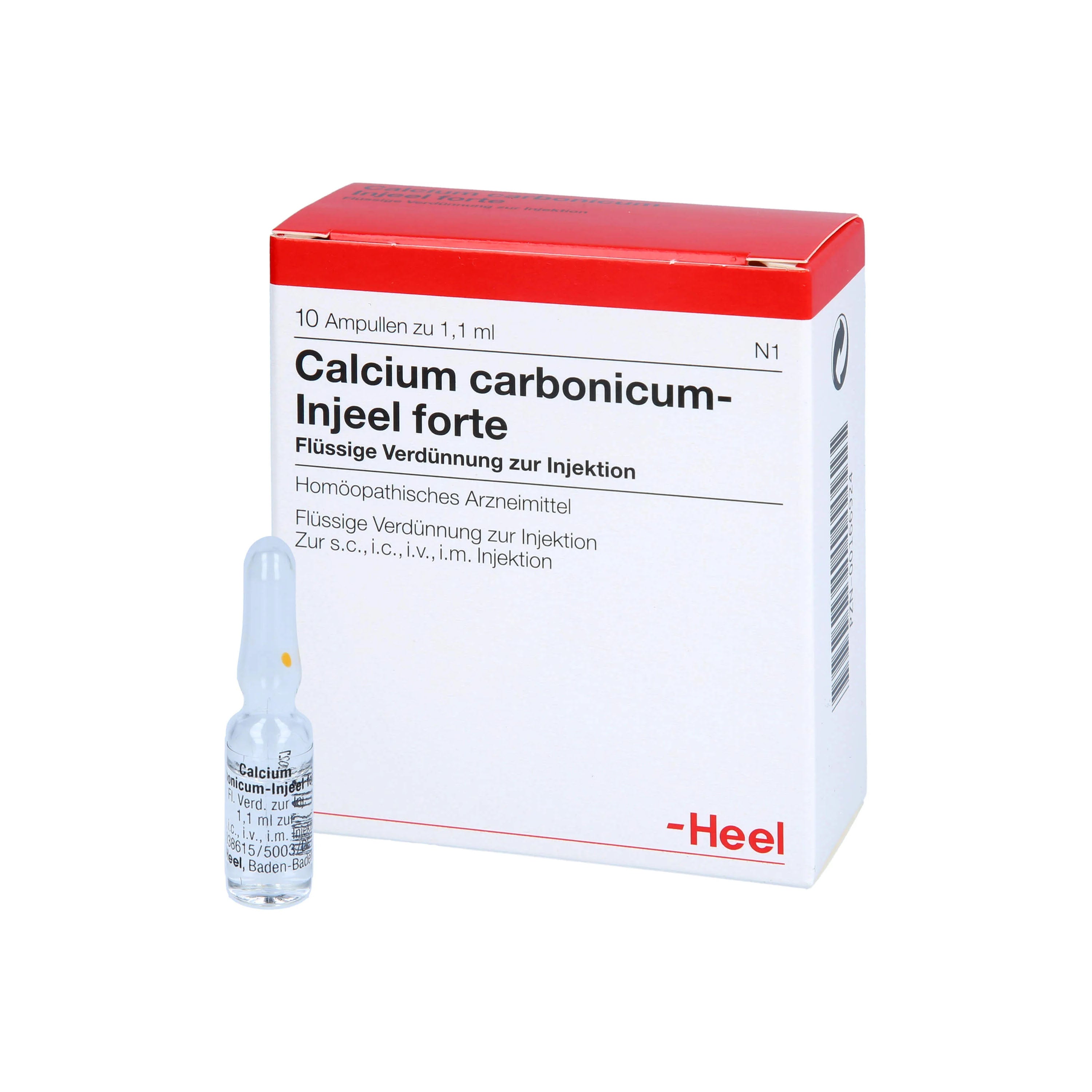 Calcium Carbonicum FORTE 10 Ampoules - Image 2