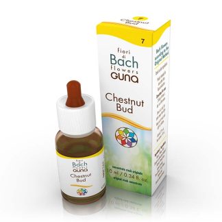 Chestnut Bud Bach Flower - 10ml Drops