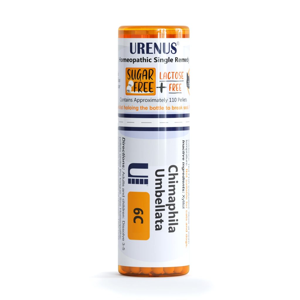 Chimaphila Umbellata in 6C 30C 200C or 1M Urenus Homeopathic Remedy Homeopathy Medicine