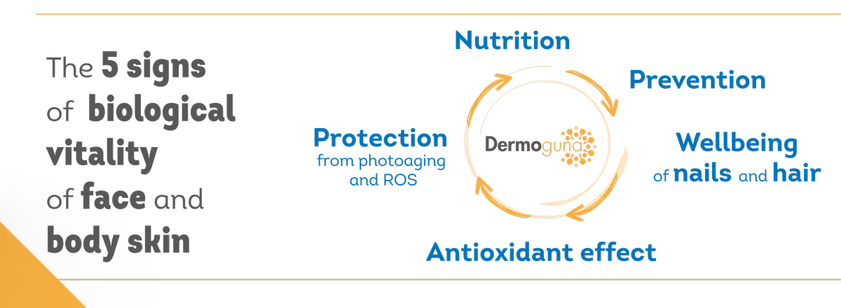 Dermoguna ingredients 1
