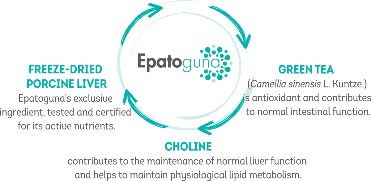 Epatoguna ingredients