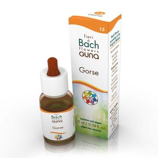 Gorse Bach Flower - 10ml Drops