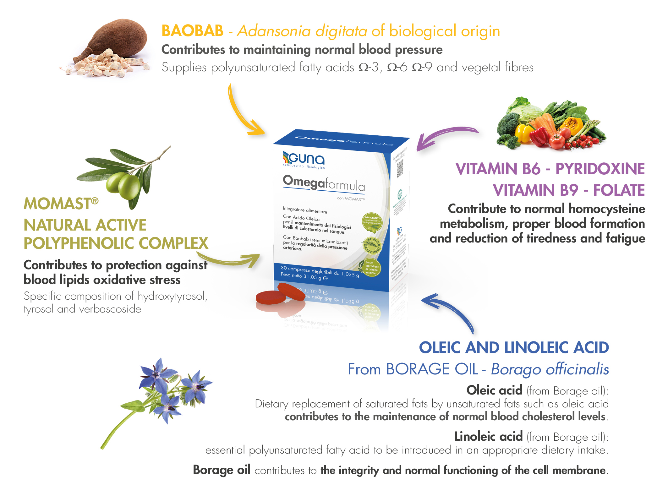 ImmagineLeaflet Omegaformula