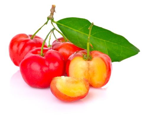 Vitformula-Acerola---Acerola