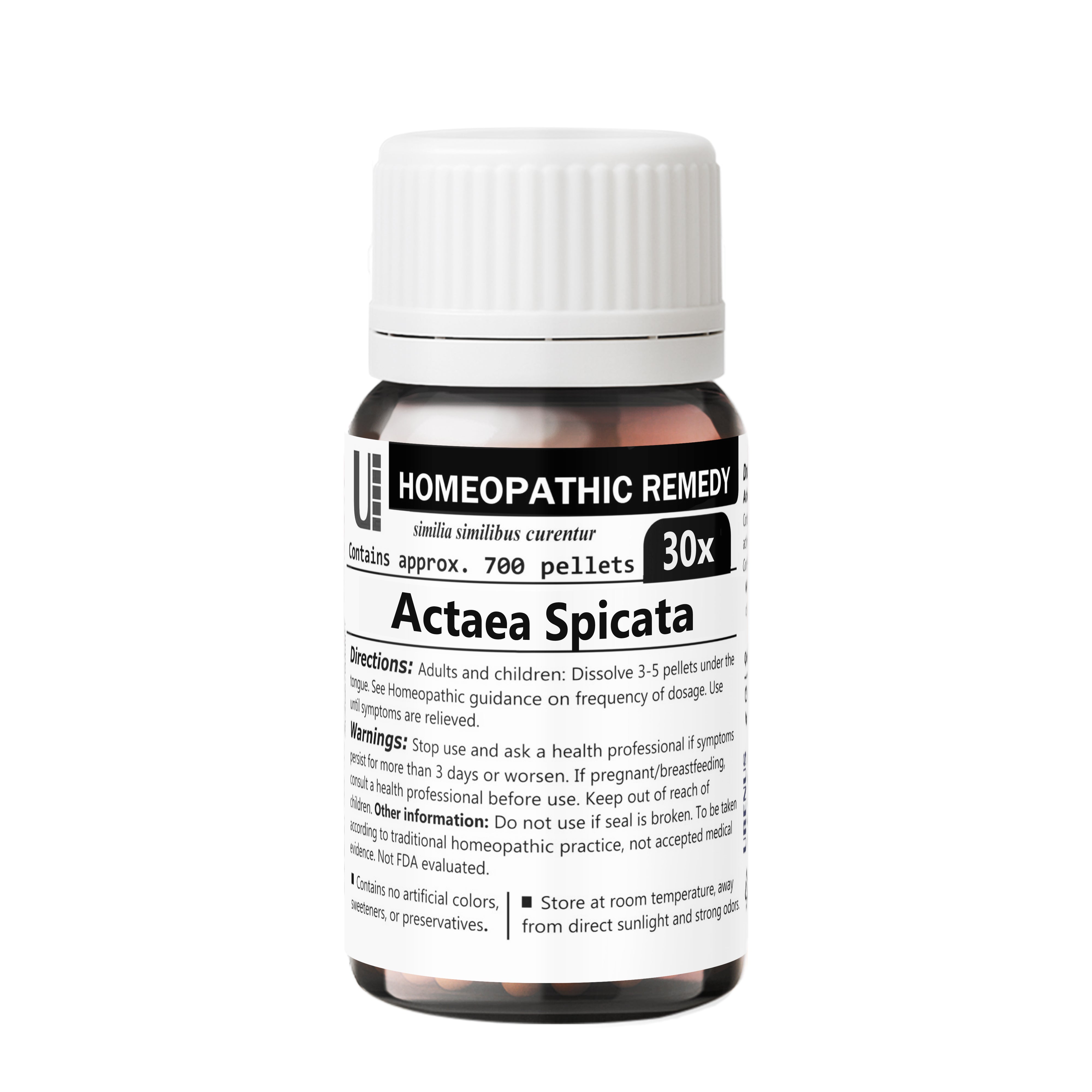 Actaea Spicata - Image 7