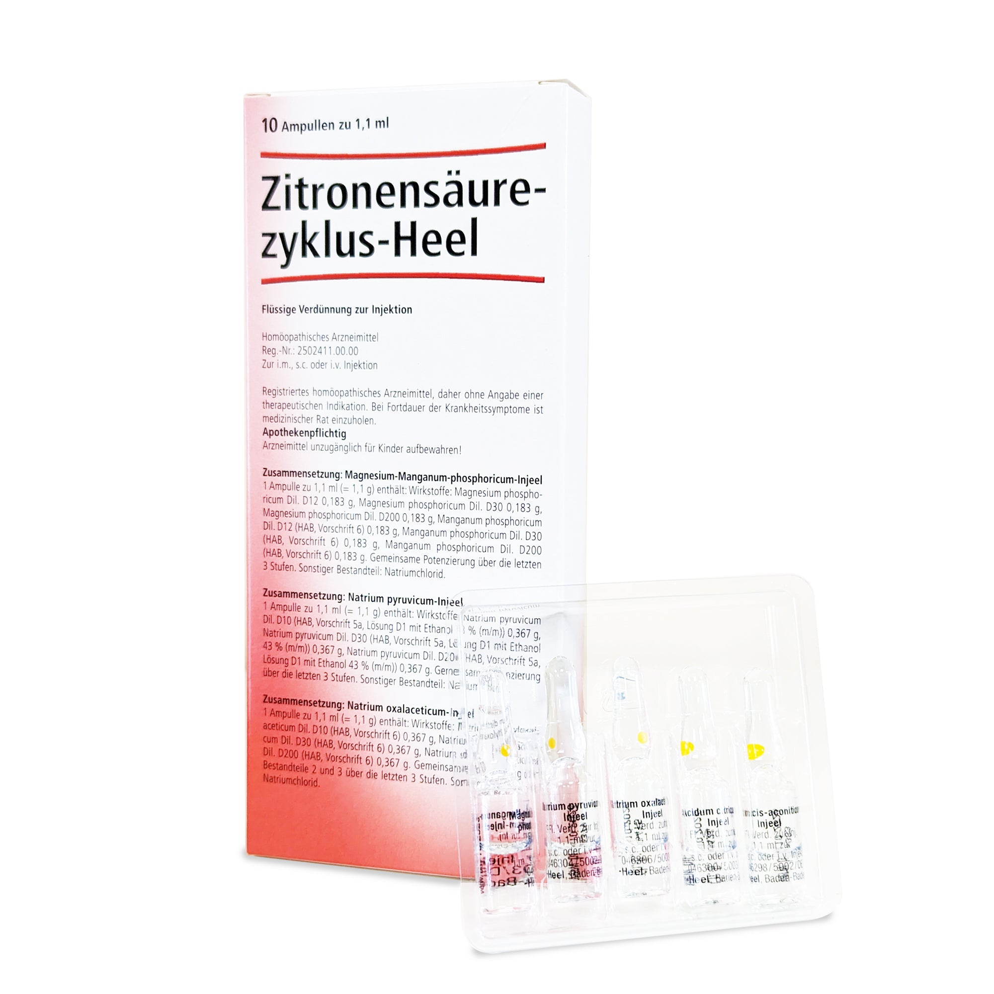 Citric Acid Cycle Set (Zitronensaurezllaus) 10 Ampoules - Image 2