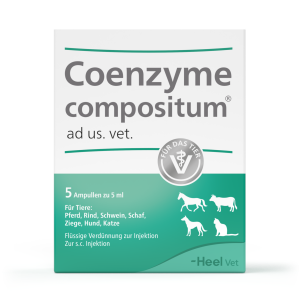 Circulatory & Metabolic Support For Animals