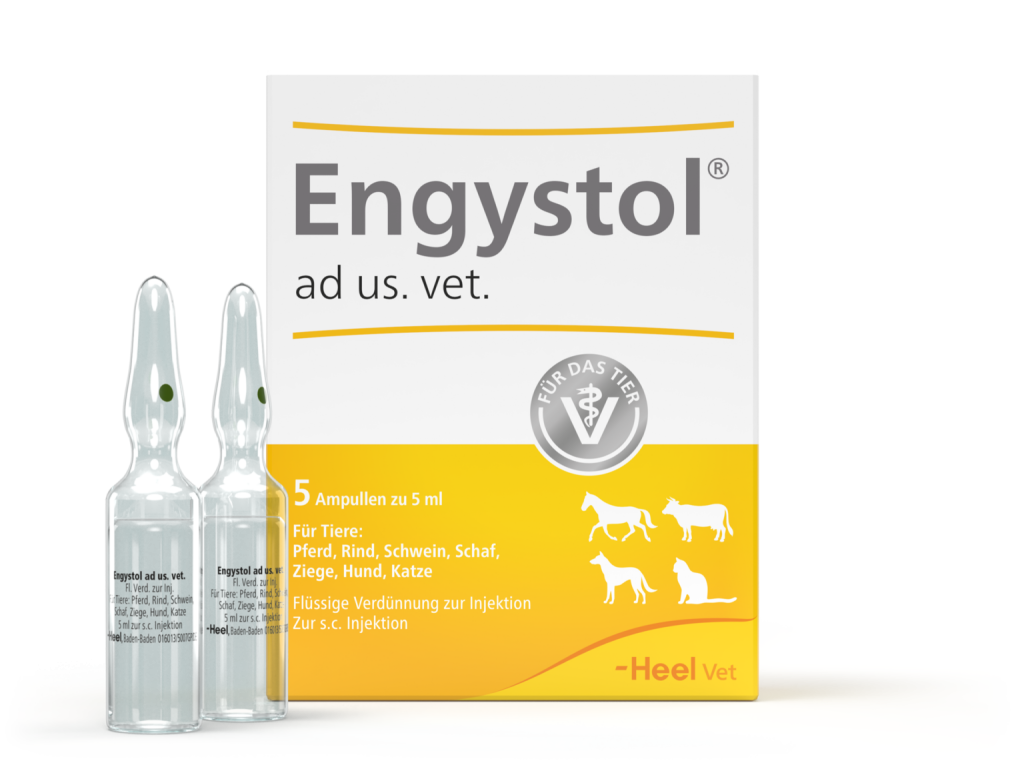 Engystol ad us vet 5ml (VET)