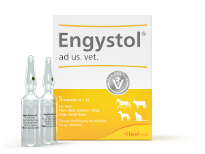 Engystol