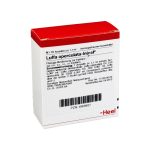 Luffa Operculata Injeel 10 Ampoules-Urenus