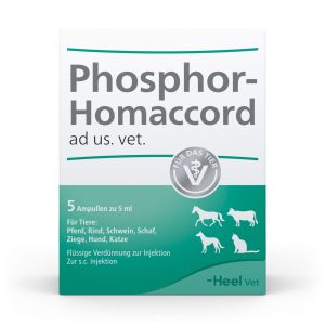 Digestive & Hepatic Support For Animals